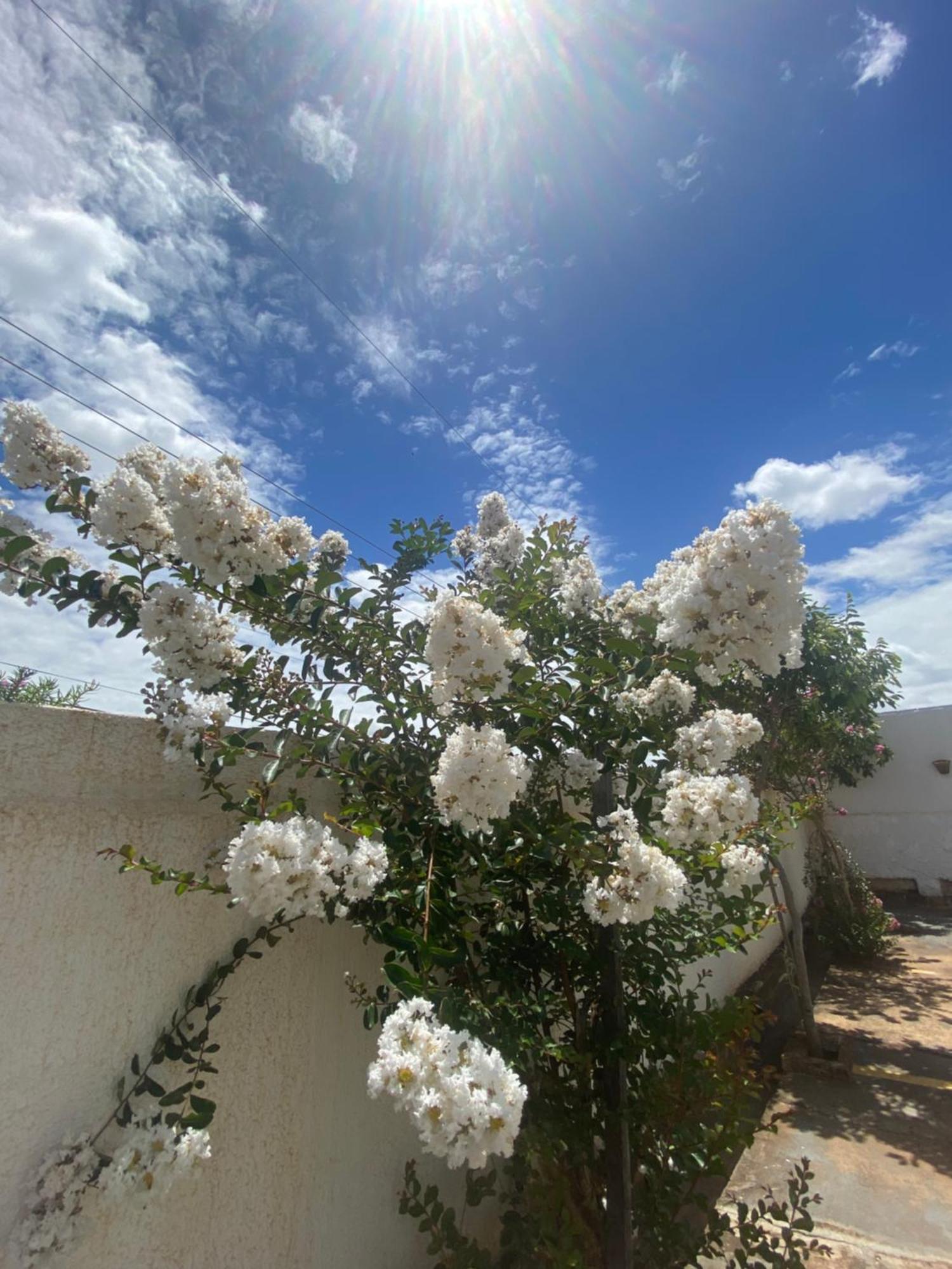 Queiroz Palace Hotel Siqueira Campos Exteriör bild